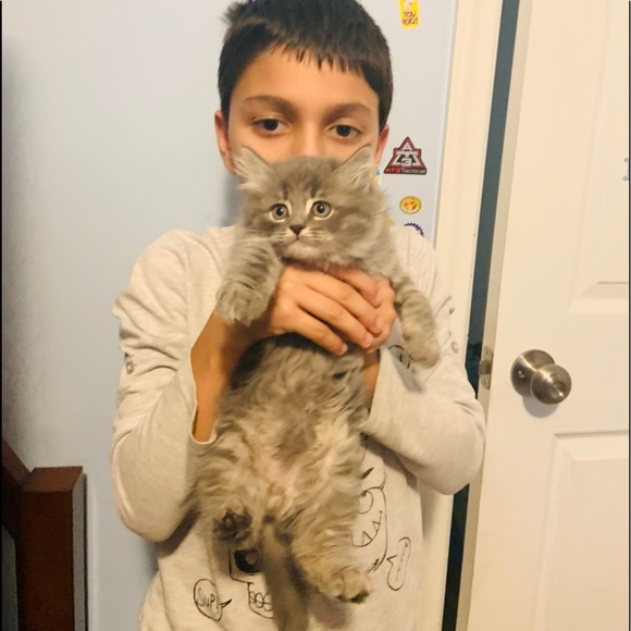 🌺 - Picture 3 of 5